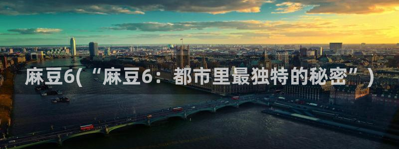 欧美专区麻豆：麻豆6(“麻豆6：都市里最独特的秘密”)