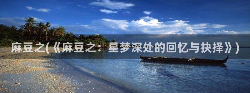 麻豆区：麻豆之(《麻豆之：星梦深处的回忆与抉择》)