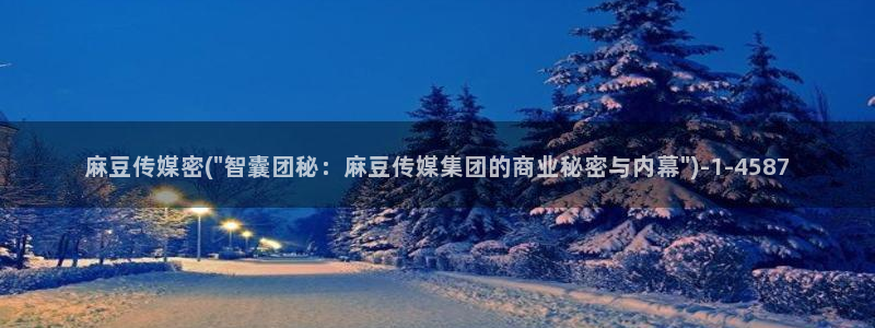 麻豆作品：麻豆传媒密(\