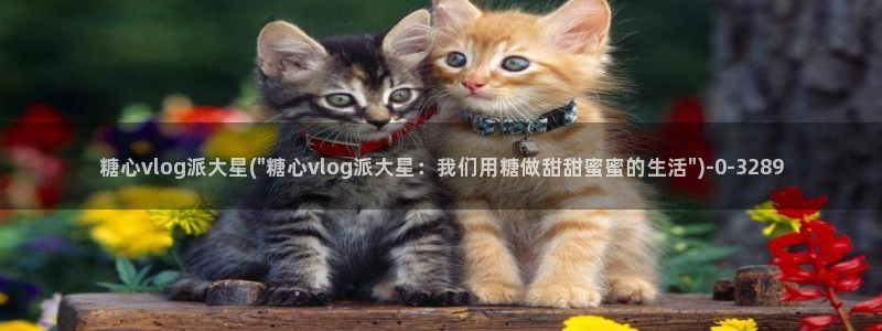 糖心vlog高清无码