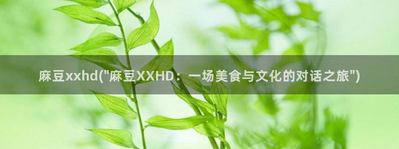 伊人久麻豆社区：麻豆xxhd(\
