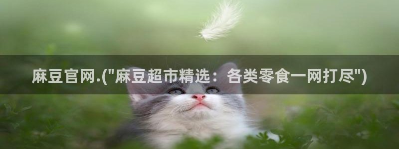 91蜜桃麻豆专区：麻豆官网.(\