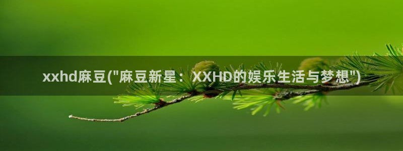 欧美专区麻豆：xxhd麻豆(\