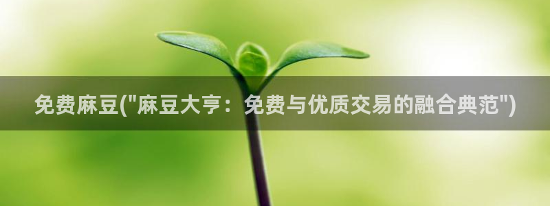 麻豆专区二：免费麻豆(\