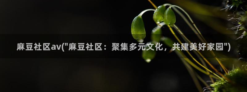 91麻豆专区：麻豆社区av(\