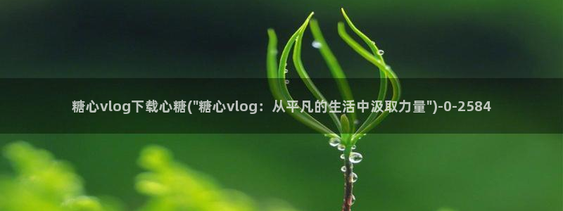 糖心vlog最新地址