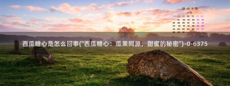 心糖vlog记录