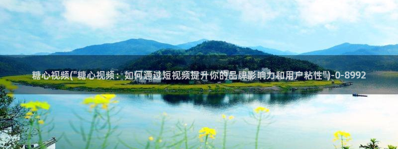 糖心vlog精品