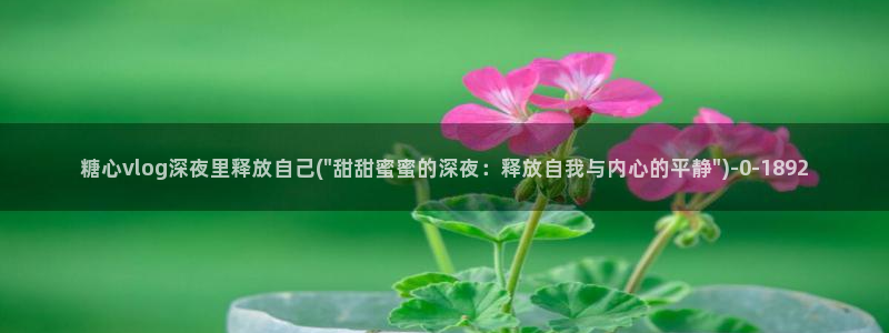 糖心vlog 破解版