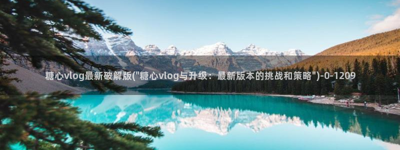 糖心vlog金善雅