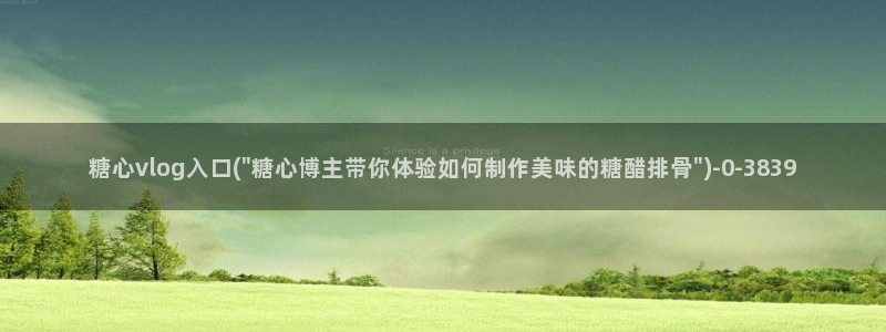 糖心vlog: