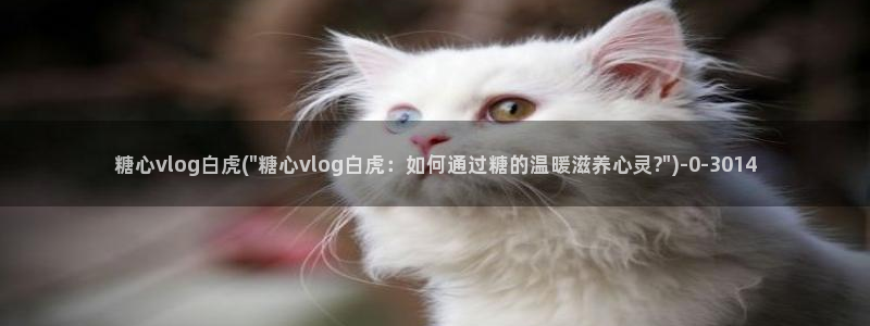 心糖vlog入口