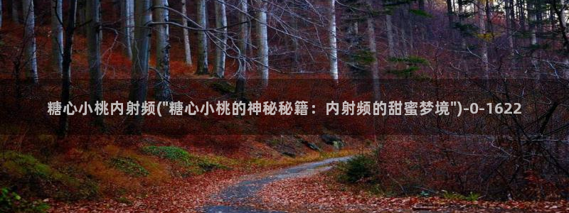 糖心视频vlog破解版下载